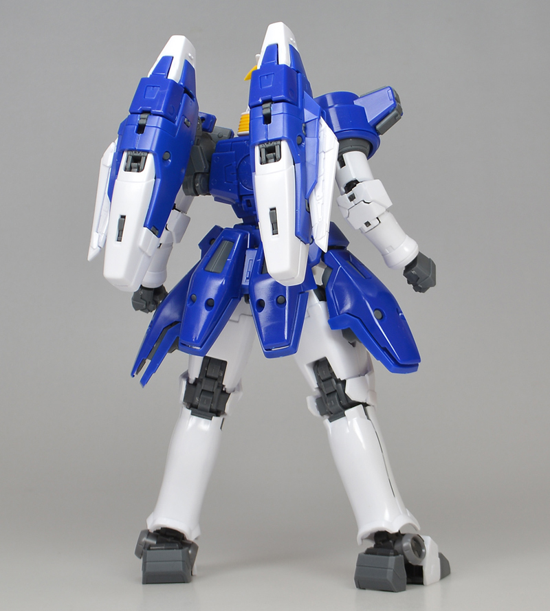 RG 톨기스 II 해외 리뷰 2_3.jpg