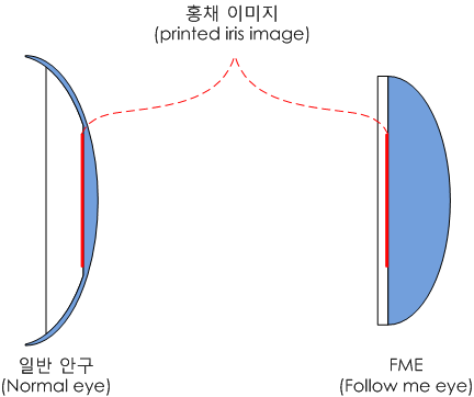 FME_structure.png