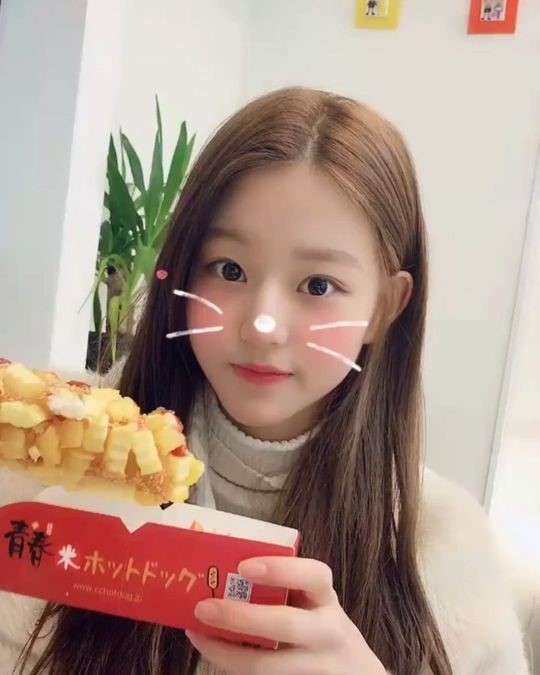 원핫도그 이미지