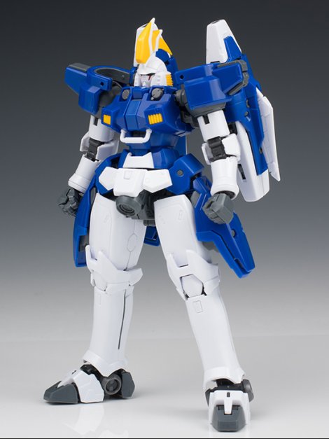 RG 톨기스 II 해외 리뷰 3_4.jpg