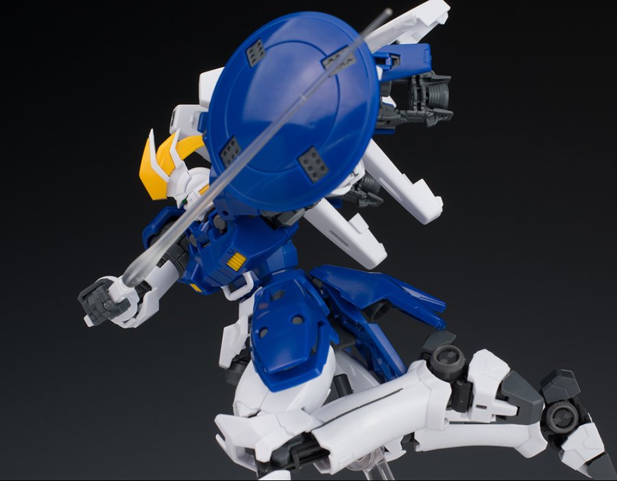 RG 톨기스 II 해외 리뷰 3_46.jpg