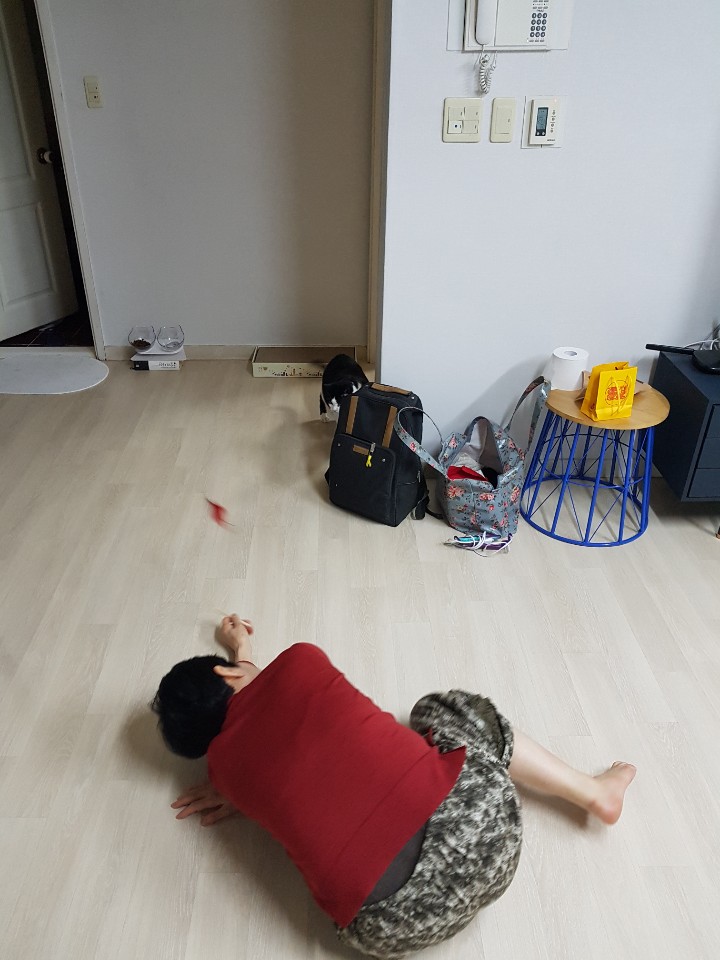 KakaoTalk_20190105_215808253.jpg