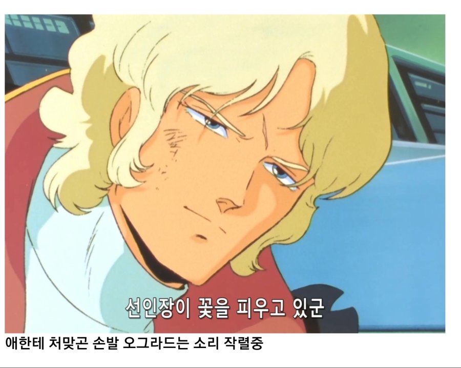 건담)샤아 아즈나블 명대사 모음_12.jpg
