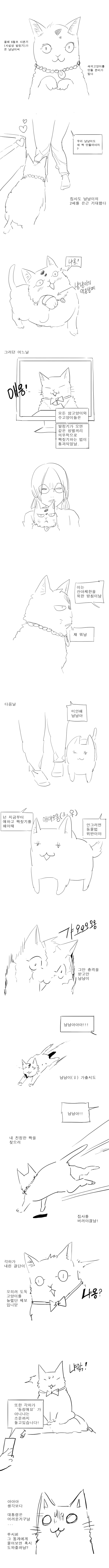 야옹령~5.jpg