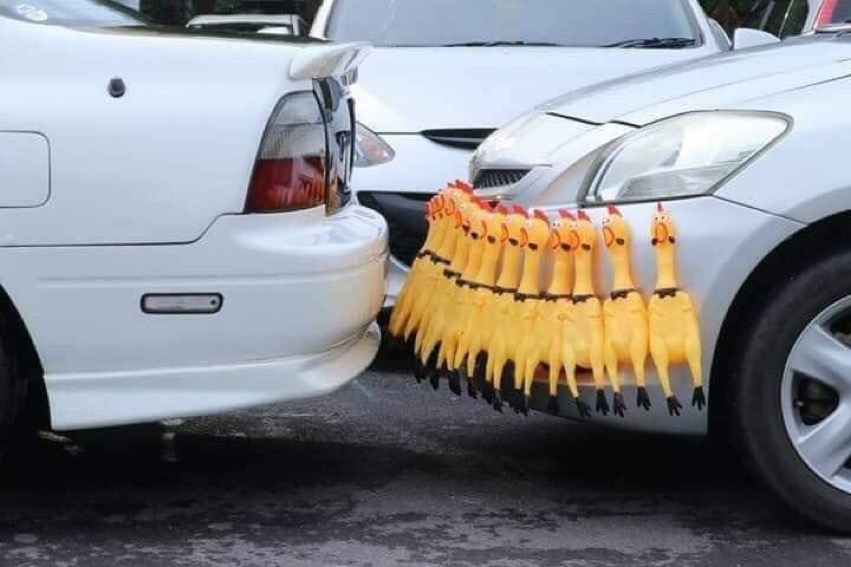 요즘 인싸들이 쓰는 접촉경보기_1.jpeg