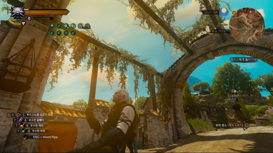 The Witcher 3 Screenshot 2019.01.29 - 01.23.30.44.png