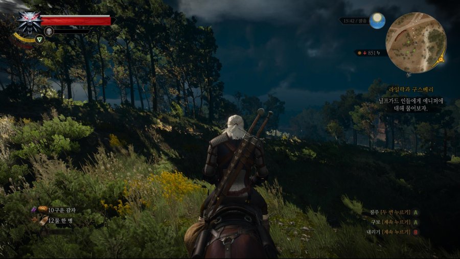 witcher3 2019-02-04 15-24-30-16.jpg