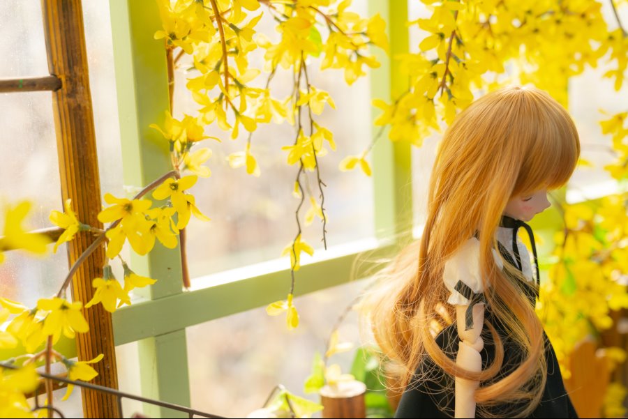 카페출사 다녀왔습니다. + 새로운DD영입_12.jpg