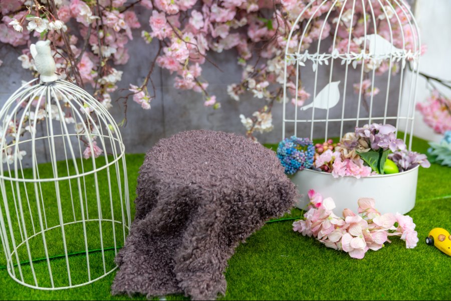 카페출사 다녀왔습니다. + 새로운DD영입_2.jpg