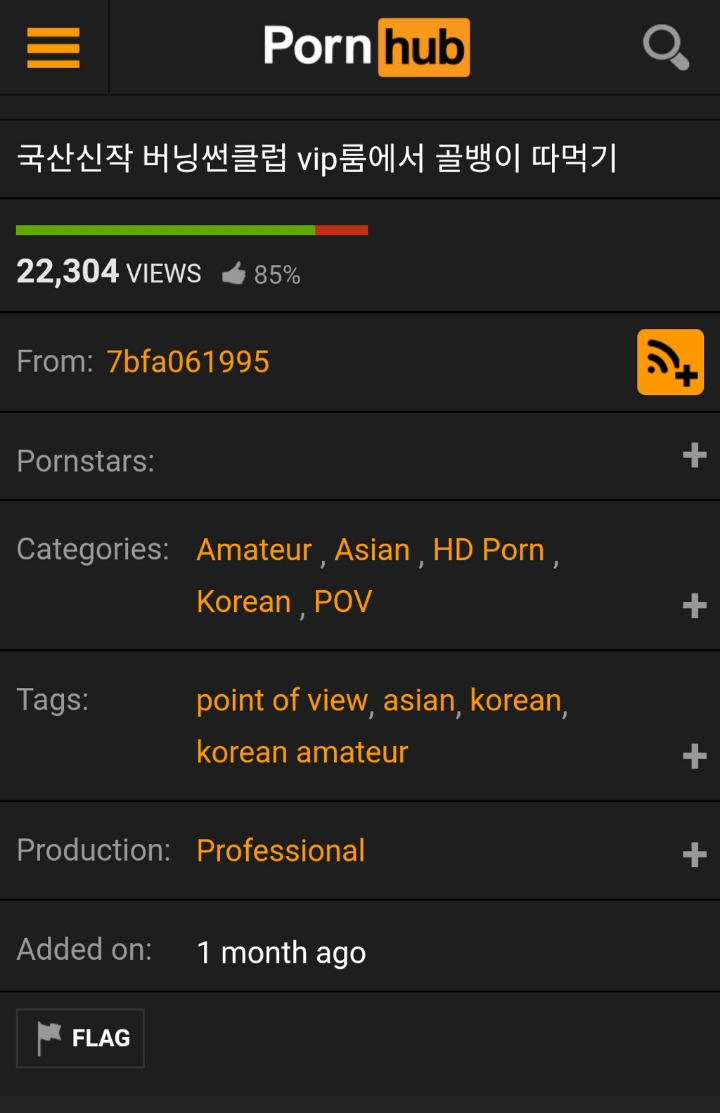 오늘 정부가 차단했다고 난리난 사이트며칠전 버닝썬 불법촬영물 올라왔던 그 사이트