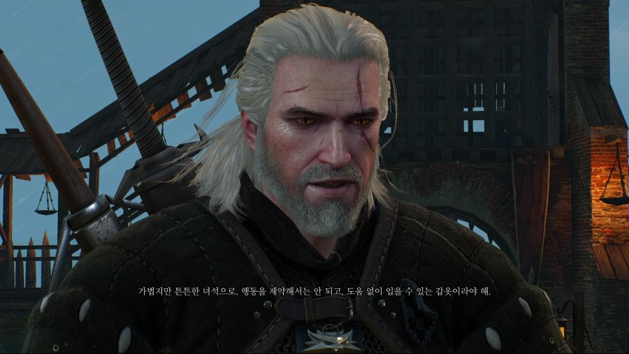 witcher3 2019-02-09 18-43-21-24.jpg