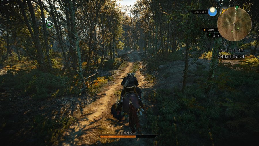 witcher3 2019-02-10 19-27-27-30.jpg