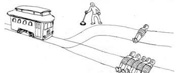 1명을 죽일래 5명을 죽일래?.gif_1.jpeg