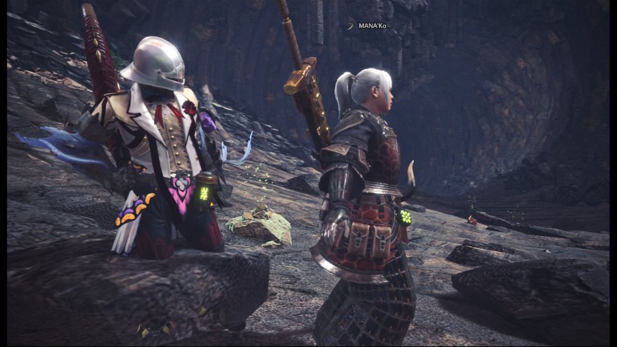 MonsterHunterWorld 192962.jpg