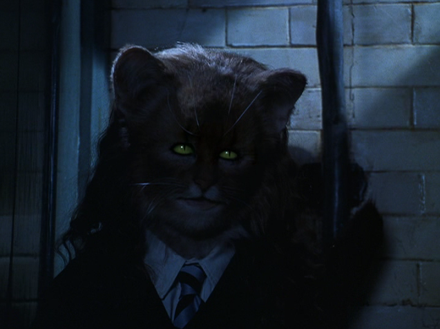 hermione_cat_tf_by_dastanprince-d37s2wr.png