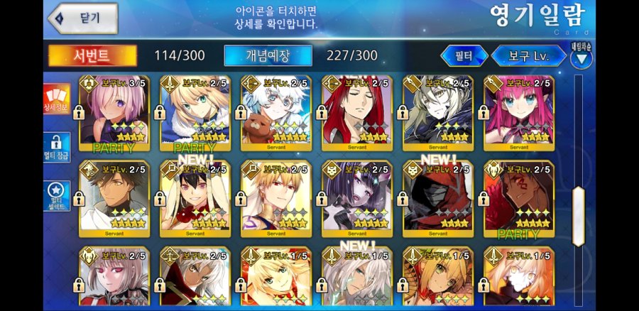 Screenshot_20190220-011338_FateGO.jpg