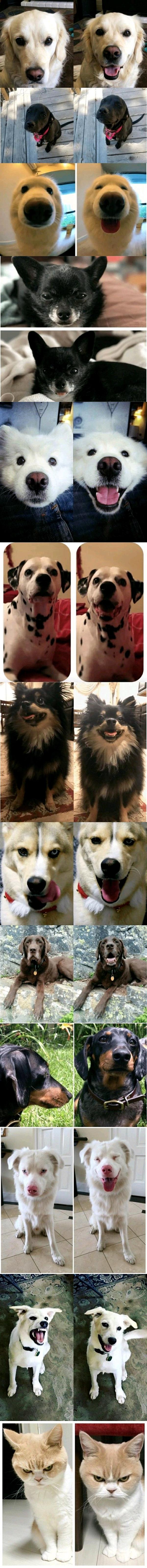 칭찬 받기 전과 후_1.jpg