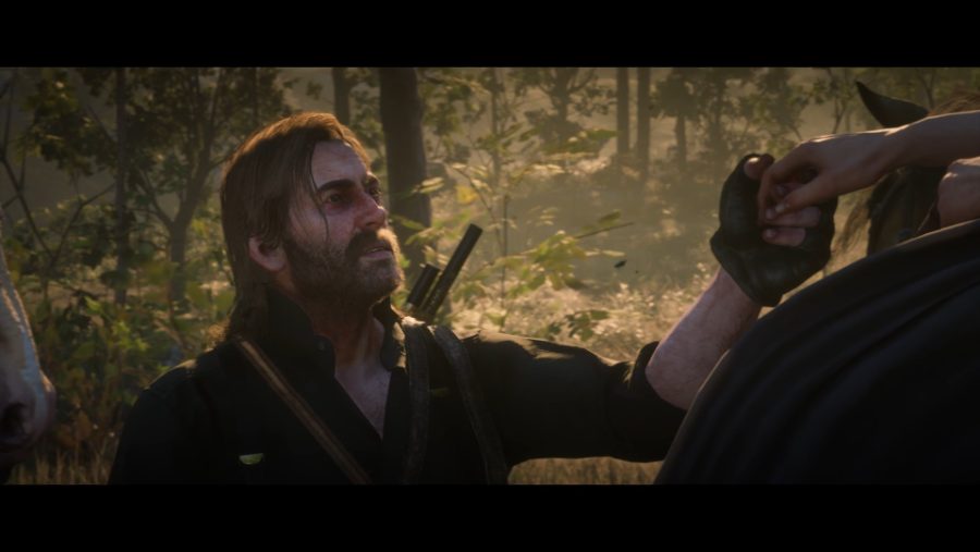 Red Dead Redemption 2_20190303154547.png