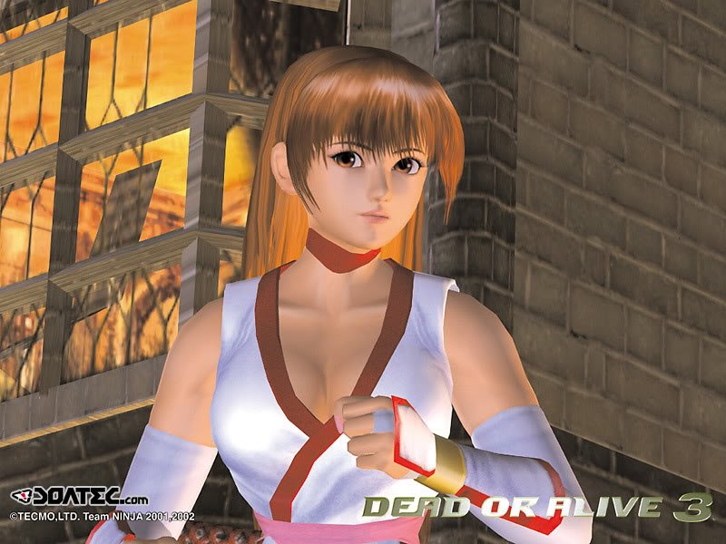 DOA3_01.jpg