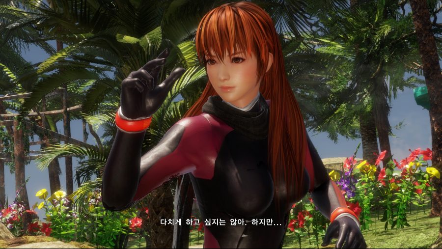 DOA6 (17).jpg