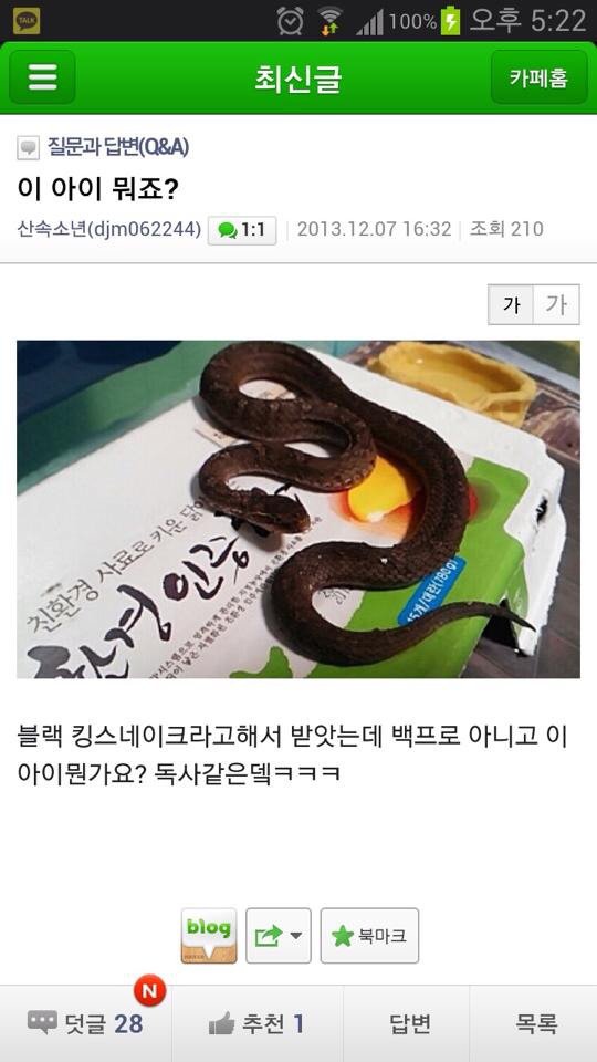 파충류 카페에서 독사가 온다면 JPG_1.jpeg