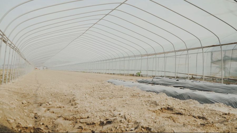 이거 두가족이서 시작한 과일나무 심기가....보통일이 아니네요_1.jpg