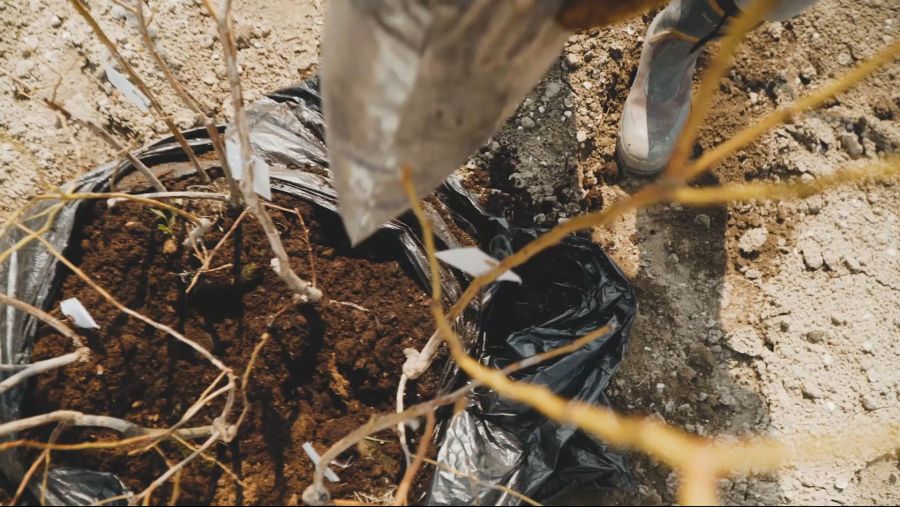 이거 두가족이서 시작한 과일나무 심기가....보통일이 아니네요_5.jpg