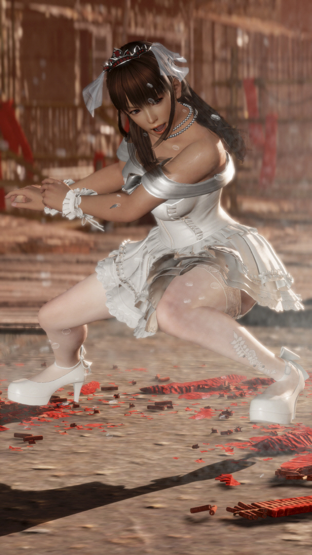 DEAD OR ALIVE 6_20190316234918.jpg