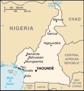 카메룬 지도2.png