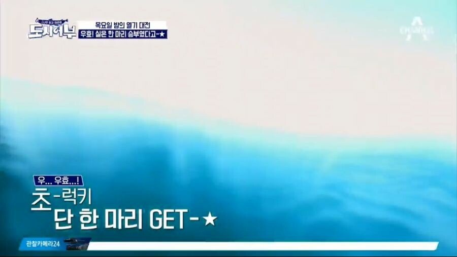 우효 드립 종말 임박 증거.jpg_1.jpeg