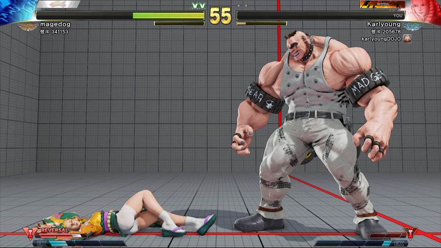 STREET FIGHTER V_20190304000304.jpg