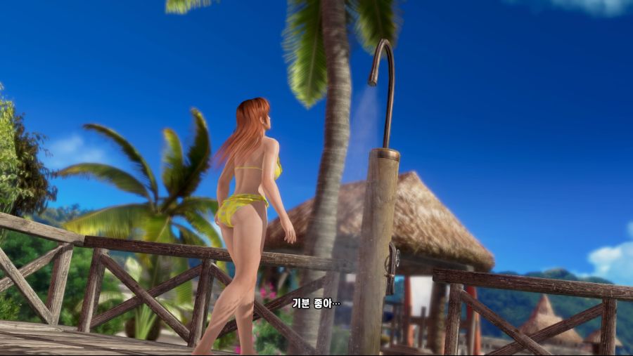 DEAD OR ALIVE Xtreme 3 Scarlet_20190326073052.jpg