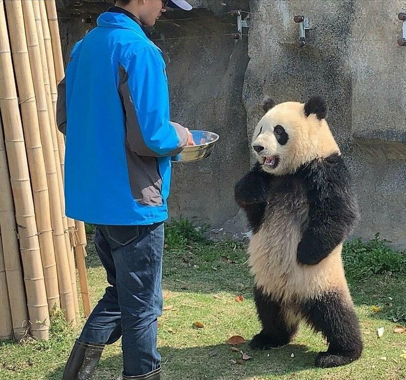 떽!! 사육사 네이놈 !!_1.jpg