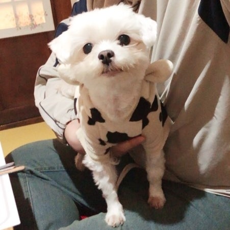 KakaoTalk_20190331_214842444.jpg