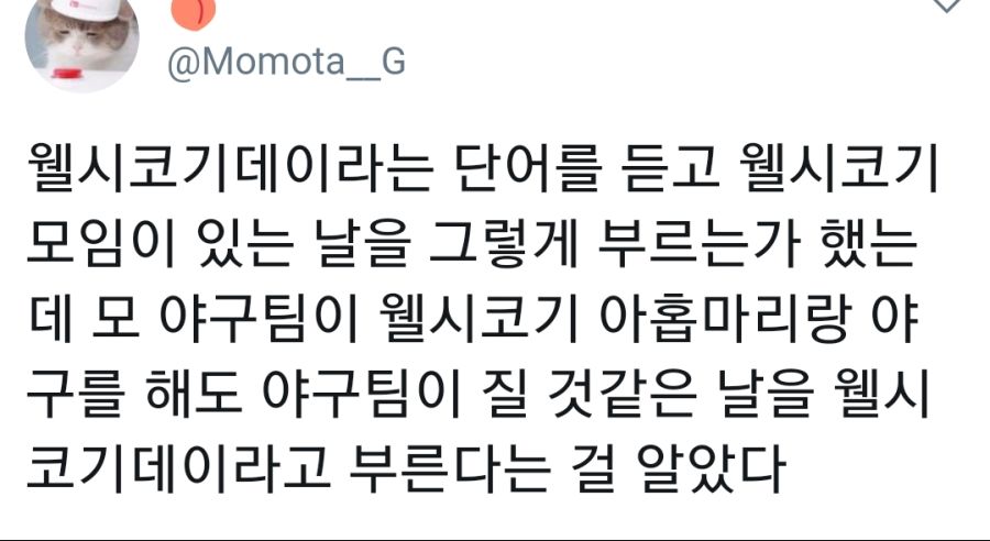 웰시코기 데이_1.jpg