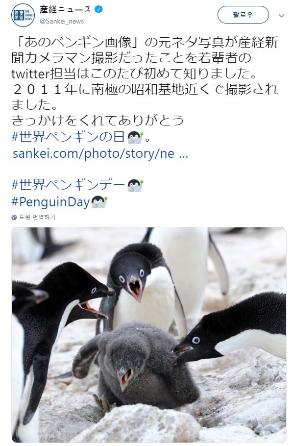 그 펭귄 짤 원본 출처.jpg_1.jpg