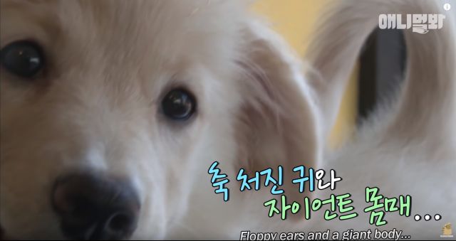 bandicam 2019-04-26 12-45-27-313.jpg