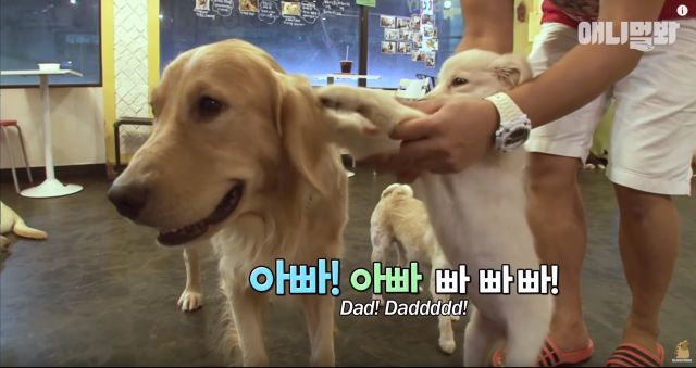 bandicam 2019-04-26 12-48-06-125.jpg