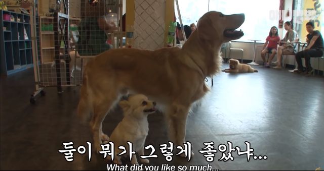 bandicam 2019-04-26 12-48-37-814.jpg