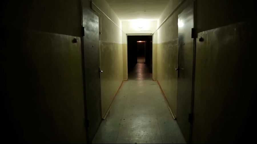 walks-down-the-creepy-hallway_sdo4lave__F0000.png