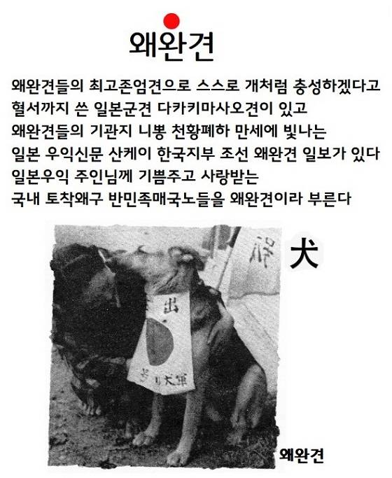 이정도는 친일이야 ? 토착왜구야 ? [ 모음집 ]_12.jpg