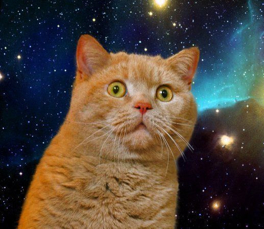 일본인들이 일뽕 200% 충전하는법.jpg_4.jpg