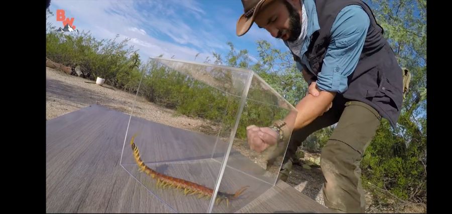 (극혐) 안 흔한 유튜버의 컨텐츠_4.jpg