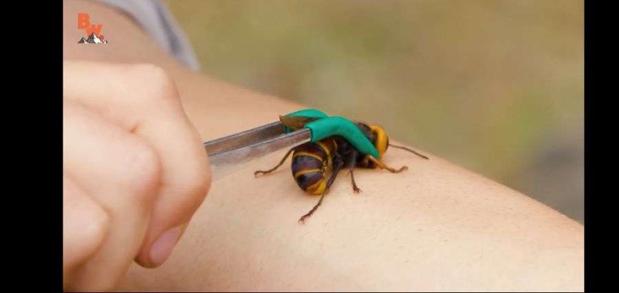 (극혐) 안 흔한 유튜버의 컨텐츠_9.jpg