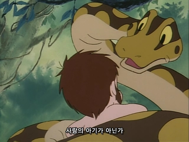 Jungle Book Shounen Mowgli 01-02 (DVD 640x480 x264 10bit AC3) [BB533384].mp4_20190516_133635.100.jpg
