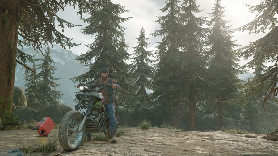 DAYS GONE_20190518062408.png