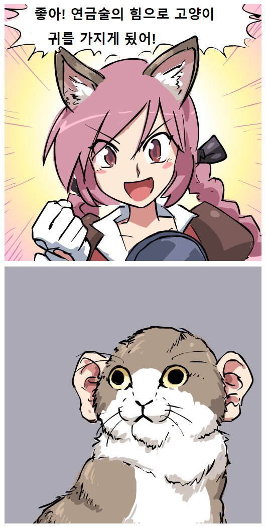 고양이 귀 등가교환.jpg_1.jpg