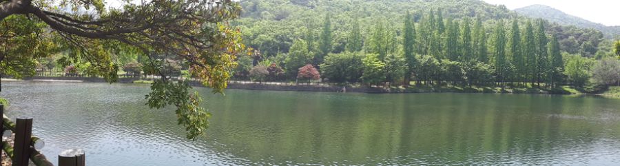 여수, 순천, 담양 3박4일 여행_32.jpg