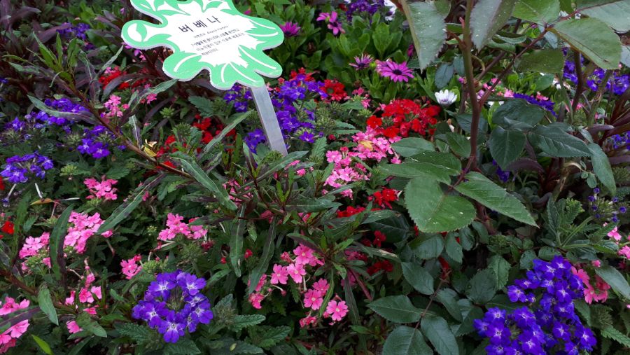 여수, 순천, 담양 3박4일 여행_57.jpg