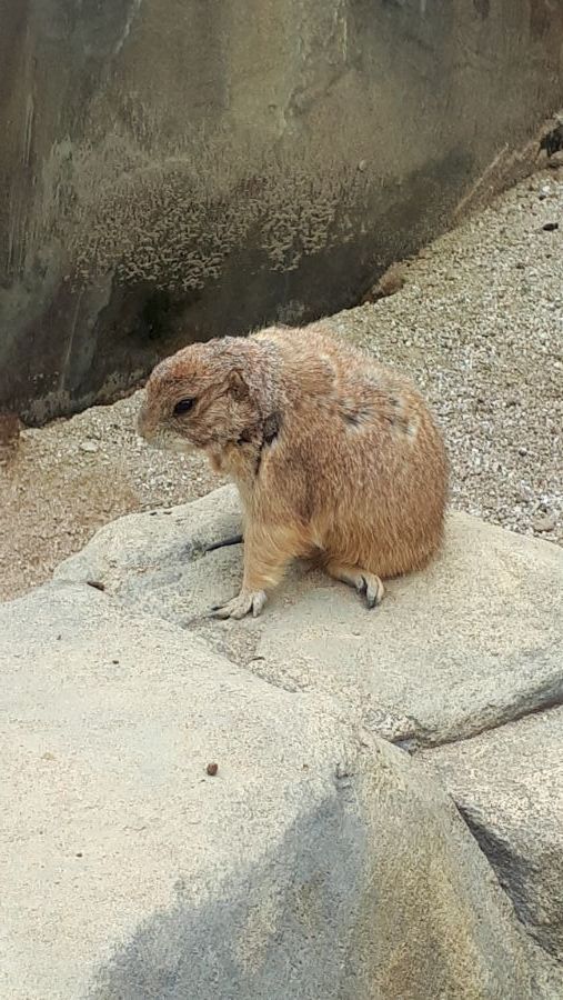 여수, 순천, 담양 3박4일 여행_81.jpg